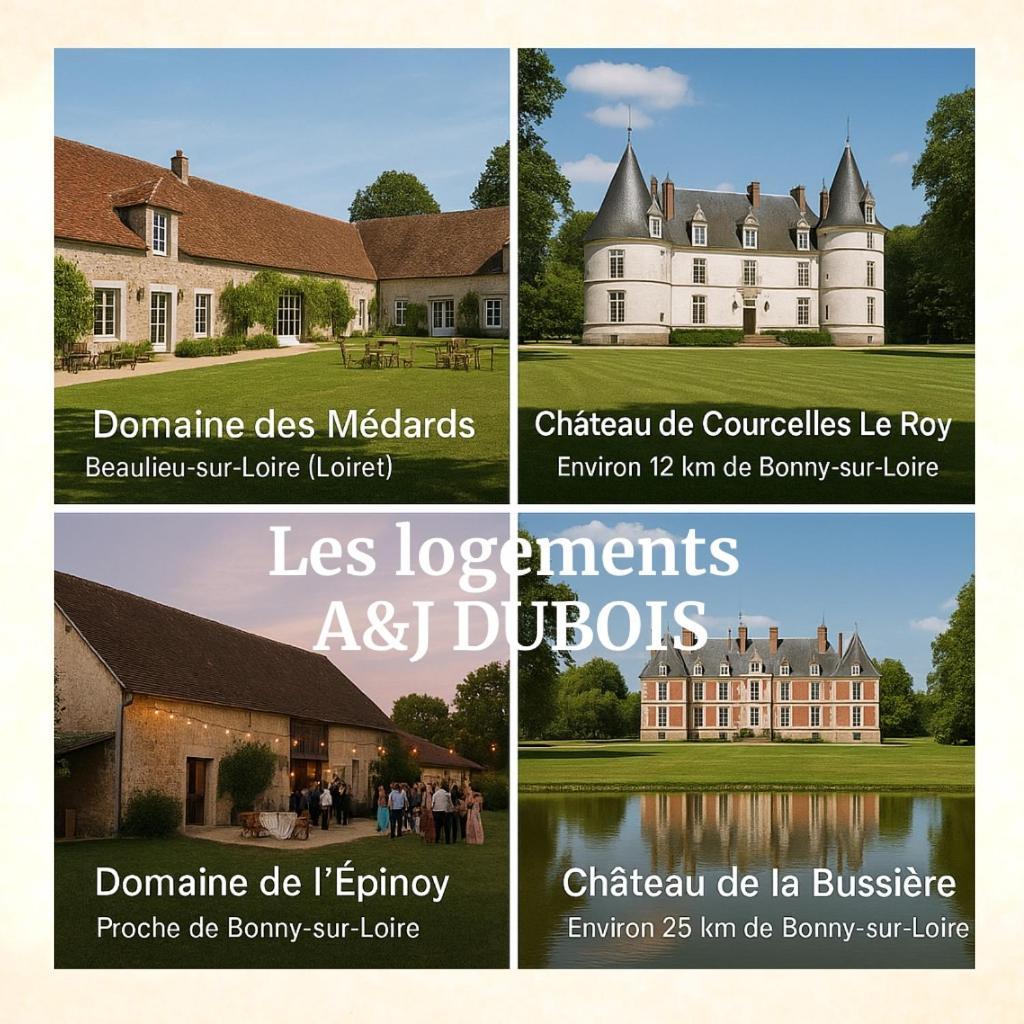 A&J Family - Neuvy Sur Loire - Guedelon Villa Kültér fotó